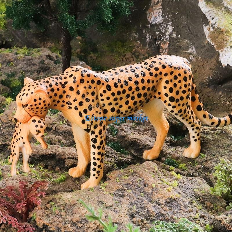 Science Exhibition Models - 090B Gedetailleerd Cheetah-figuur, perfect voor educatieve
