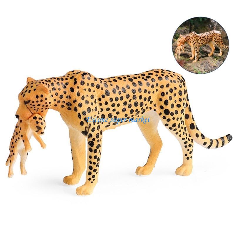 090B Gedetailleerd Cheetah-fig - Science Exhibition Models recensie en prijs